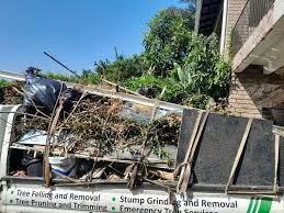Best Yard Waste Removal  in Minneapolis, KS